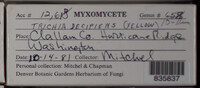 Image Associated With the Occurence